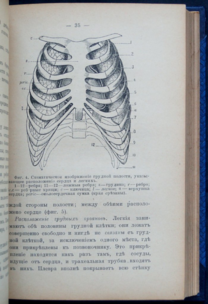 Физиология для начинающих. Учебное руководство по основам физиологии (пер. с англ.)
