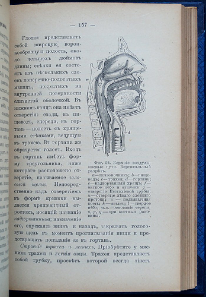 Физиология для начинающих. Учебное руководство по основам физиологии (пер. с англ.)