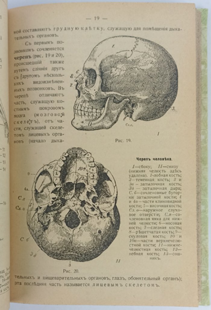 Начальный курс гигиены. Часть I (единственная) — с 121 рисунком в тексте
