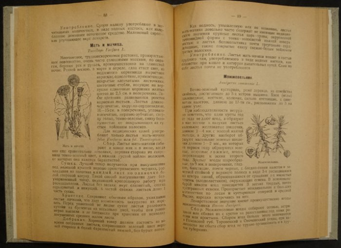 Пособие по сбору, культуре и применению лекарственных растений (А. К. Подгородецкий)