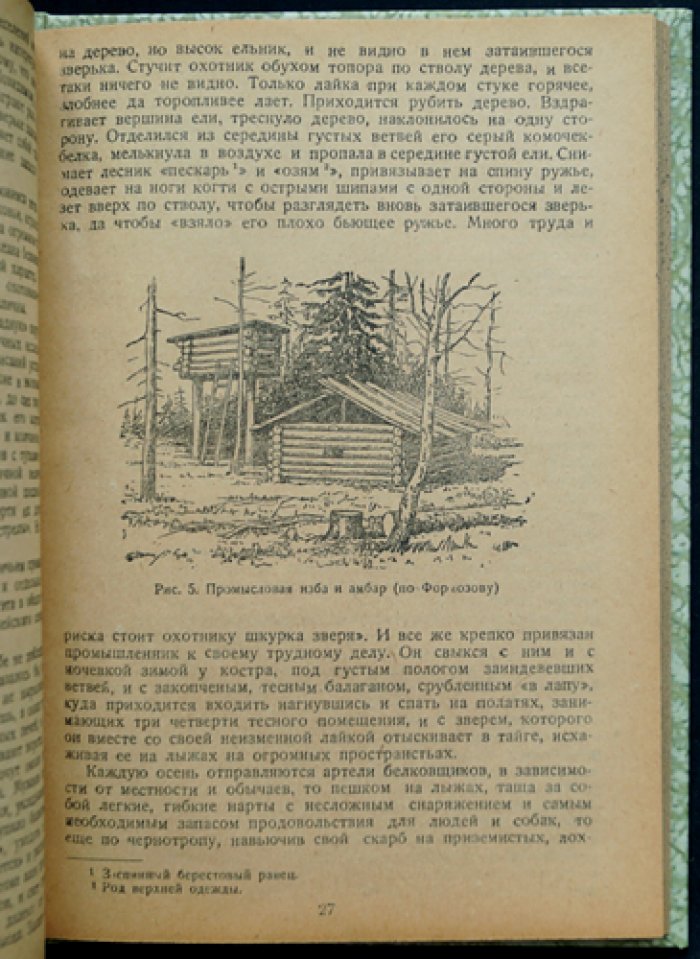 Очерки промысловых зверей и птиц (зоология и хозяйственное значение видов)