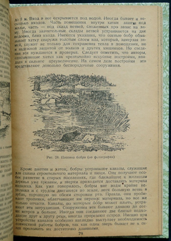 Очерки промысловых зверей и птиц (зоология и хозяйственное значение видов)