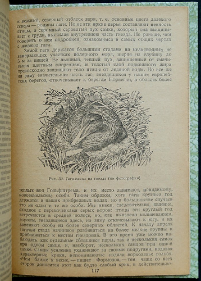 Очерки промысловых зверей и птиц (зоология и хозяйственное значение видов)