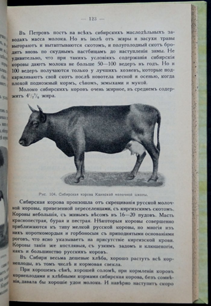 Молочный скот: общедоступное руководство по разведению, выращиванию и содержанию