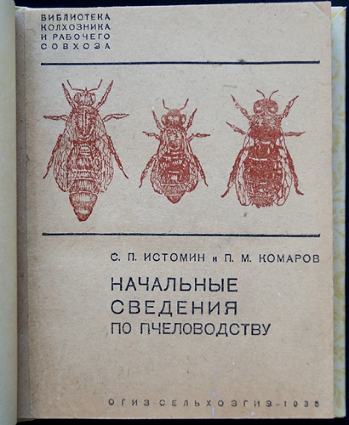 Начальные сведения по пчеловодству. Практическое руководство для начинающих (библиотека колхозника и рабочего совхоза)