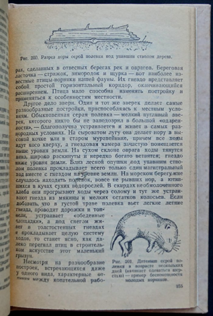 Спутник следопыта. Путеводитель по следам лесных и степных зверей