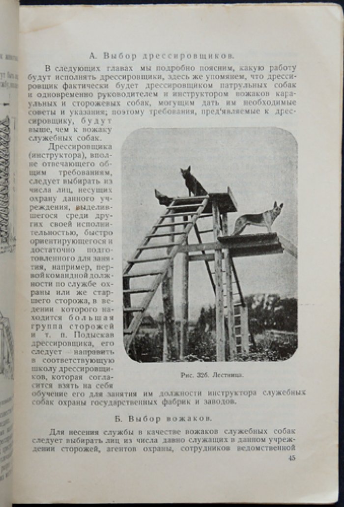 Дрессировка сторожевых собак: руководство по выбору, обучению и службе караульных, сторожевых и патрульных псов для охраны объектов