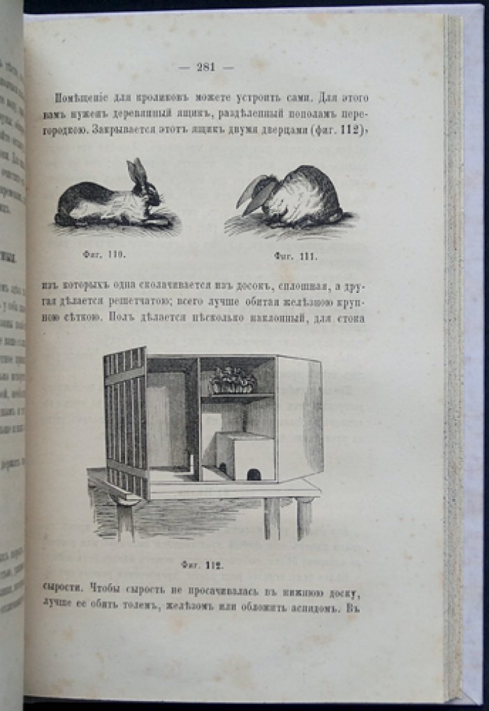 Сборник игр и полезных занятий для детей всех возрастов. Издание 2-е, исправленное и дополненное