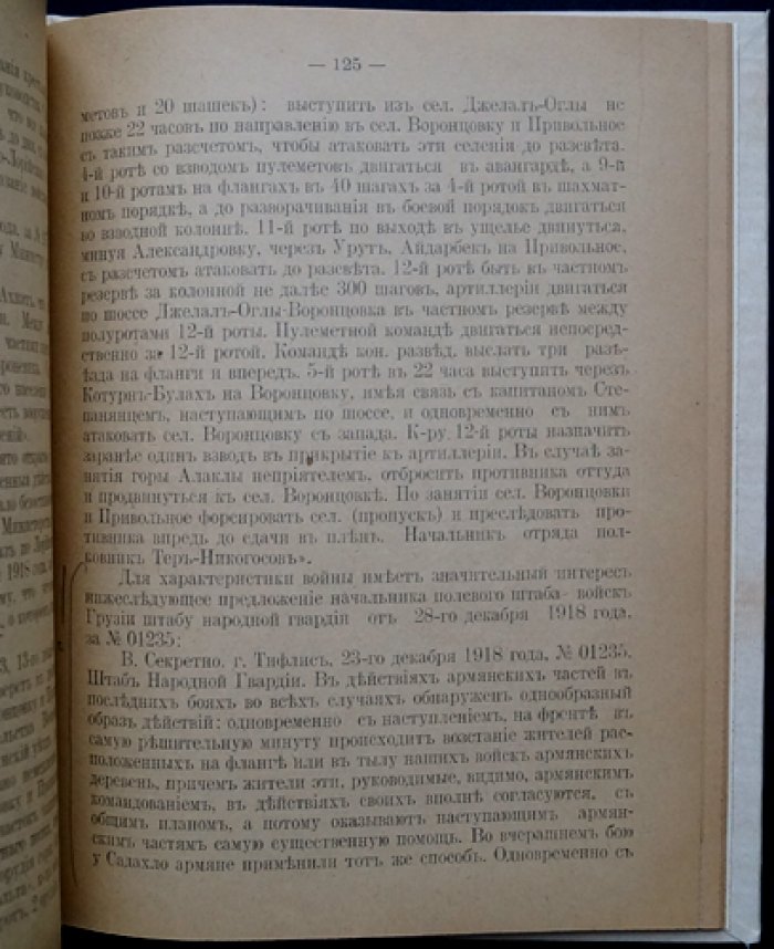 Из истории армяно-грузинских отношений (1918): пограничные конфликты, война и соглашение