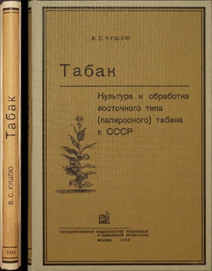 Восточный (папиросный) табак в СССР: культура, биология, агротехника и первичная обработка