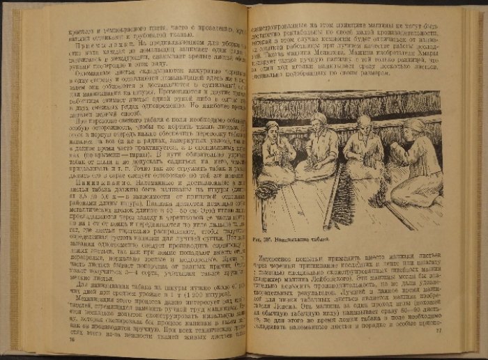Восточный (папиросный) табак в СССР: культура, биология, агротехника и первичная обработка