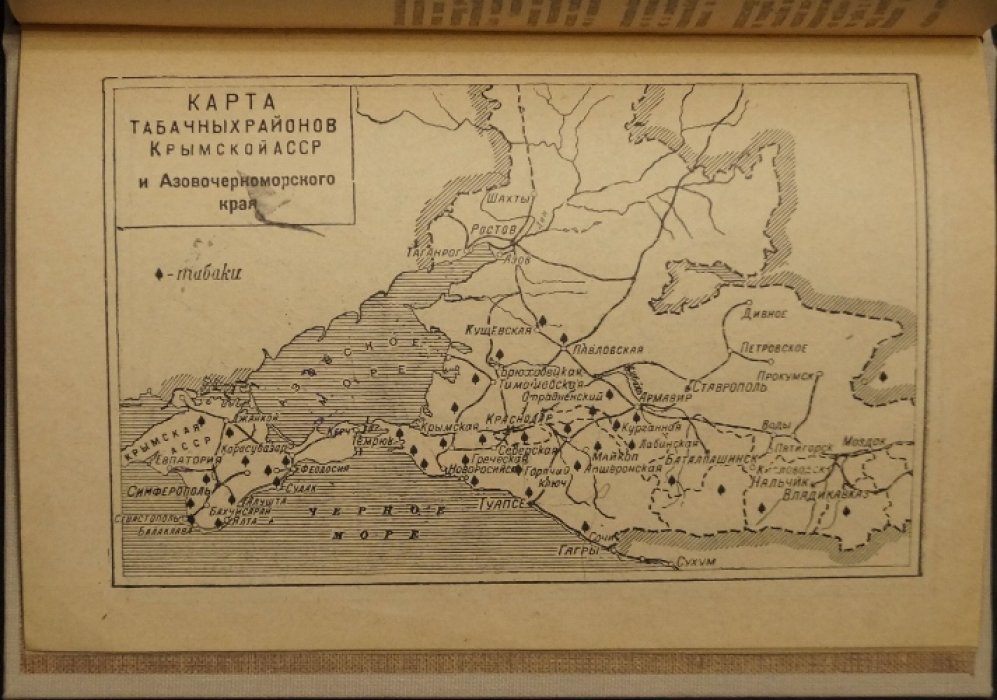 Восточный (папиросный) табак в СССР: культура, биология, агротехника и первичная обработка