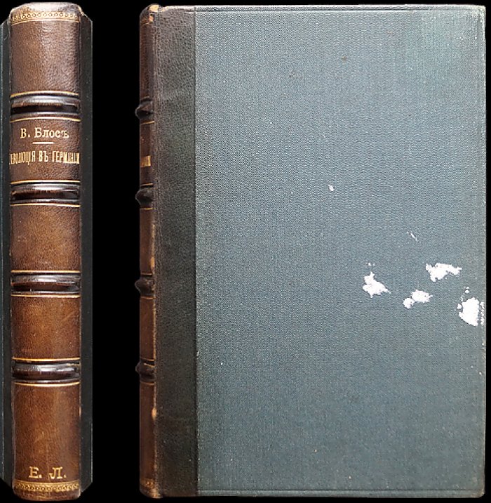 Революция в Германии (1848–1849). История германского движения