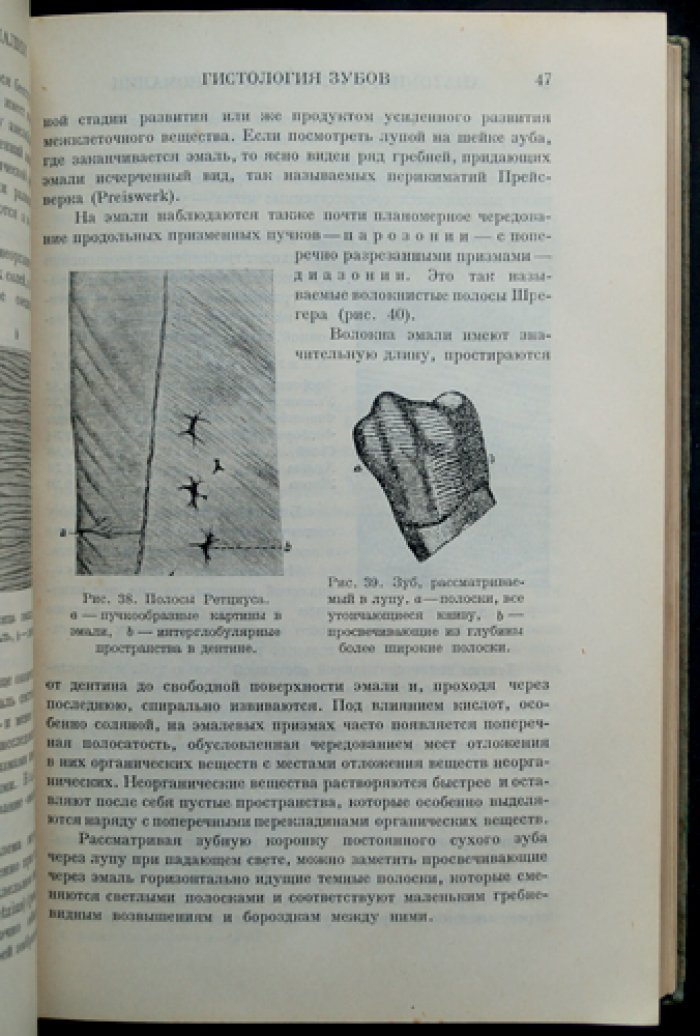 Гофунг Е.М. Клиника болезней зубов и полости рта: руководство по одонтологии и протезированию