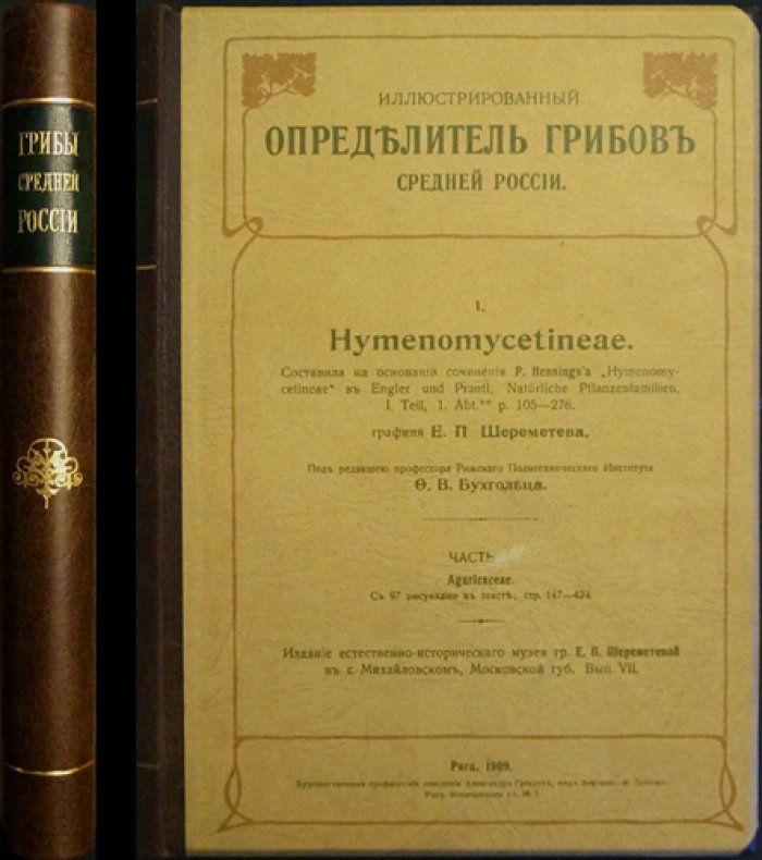 Иллюстрированный определитель грибов Средней России (Часть 1–2). Составление по сочинению P. Henningsa