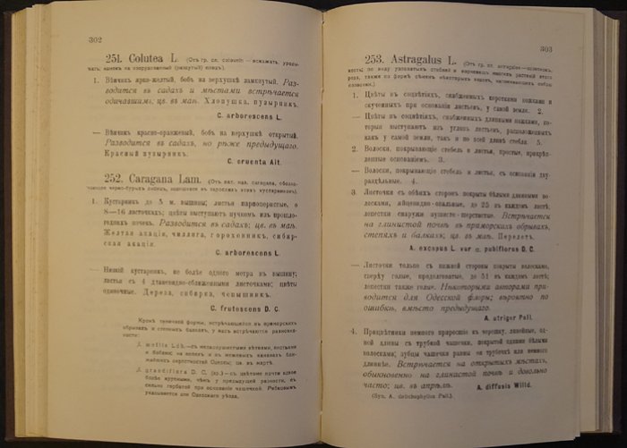Определитель растений окрестностей Одессы (Шестериков)