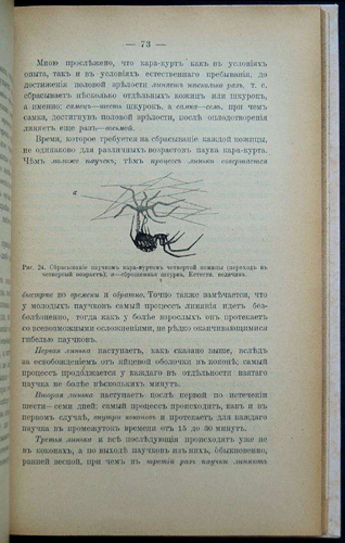 Ядовитый паук кара-курт: сведения об укусах и мерах борьбы (монография)