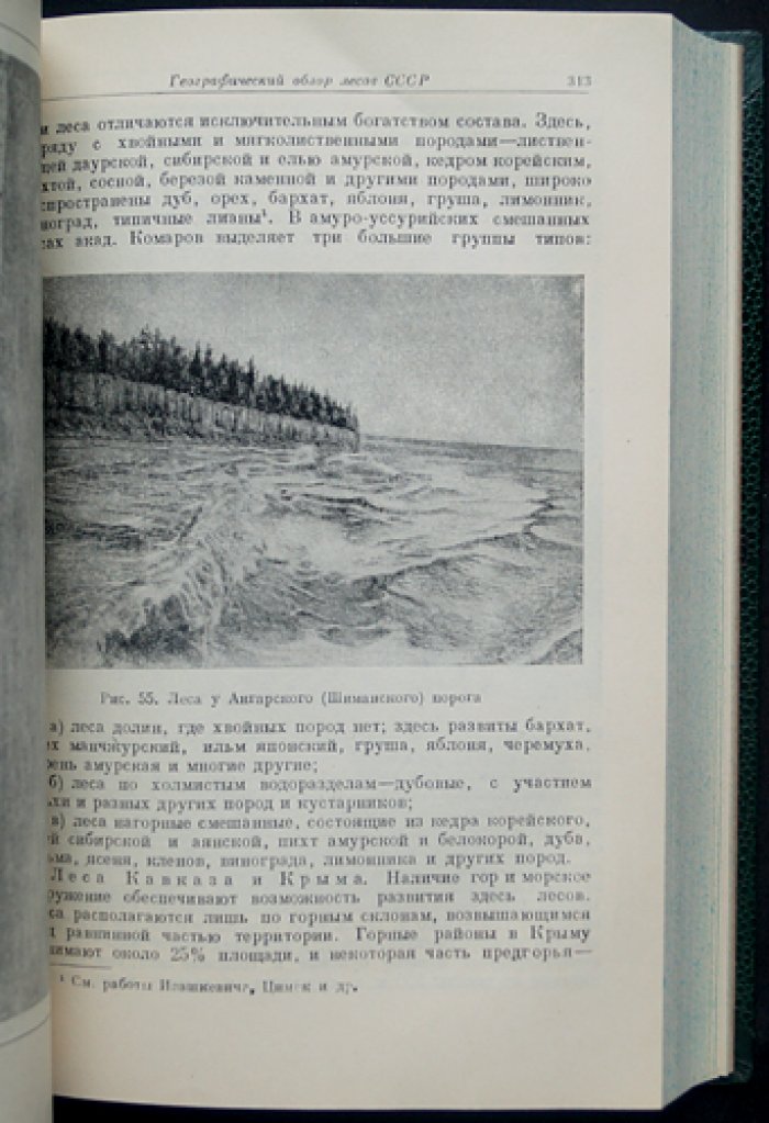 Общее лесоводство: биология леса, лесоведение и рубки главного/промежуточного пользования