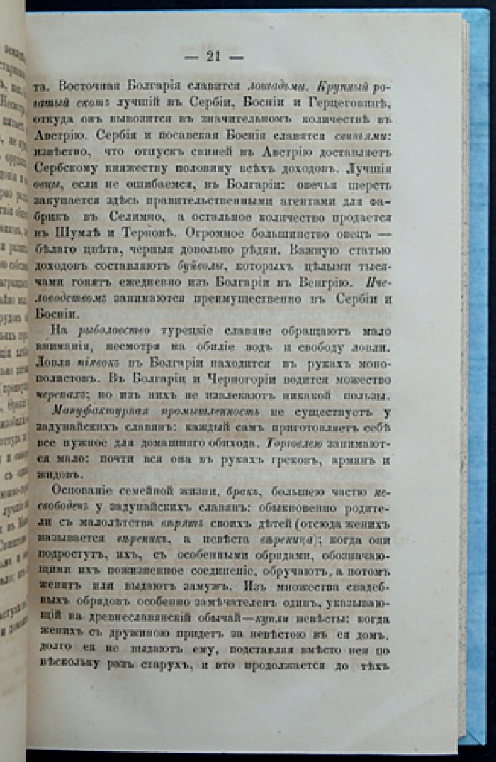 Задунайские и адриатические славяне: статистические, этнографические и исторические очерки