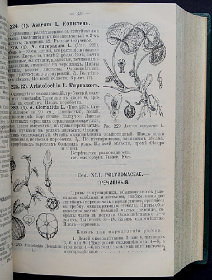 «Флора Европейской России» (в 3 частях). Иллюстрированный определитель дикорастущих растений Европейской России и Крыма