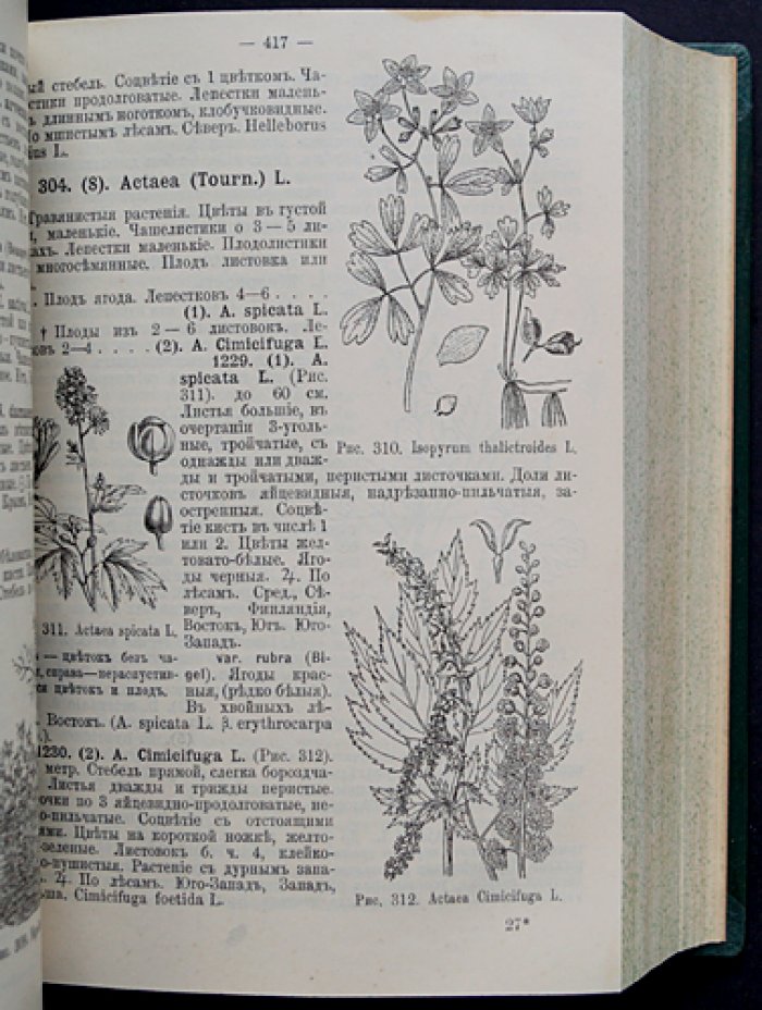 «Флора Европейской России» (в 3 частях). Иллюстрированный определитель дикорастущих растений Европейской России и Крыма