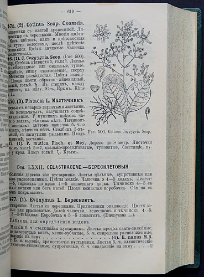 «Флора Европейской России» (в 3 частях). Иллюстрированный определитель дикорастущих растений Европейской России и Крыма