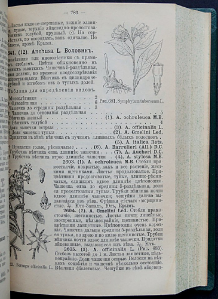 «Флора Европейской России» (в 3 частях). Иллюстрированный определитель дикорастущих растений Европейской России и Крыма