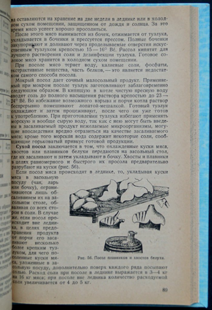 Белуха. Лов и обработка: практическое пособие