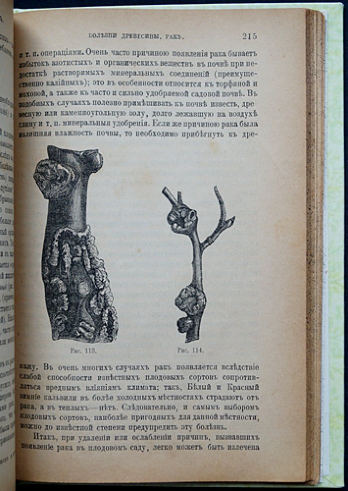 Плодовая школа и плодовый сад. Руководство по культуре плодовых деревьев для южной половины России (изд. пятое, исправленное и дополненное)