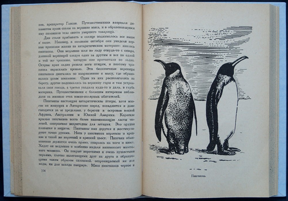 Завоевание полюсов: история великих полярных экспедиций XIX–XX веков
