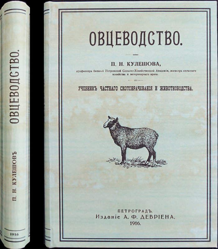 Овцеводство: учебник частного животноводства и скотоврачевания (с рисунками и цветными таблицами)