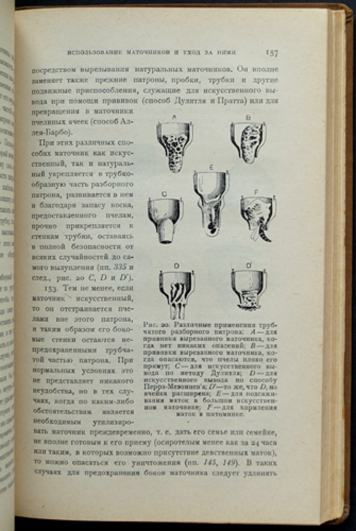 Пчелиные матки: вывод, смена и селекция на промышленных и племенных пасеках (классический труд Перрэ-Мезоннева)
