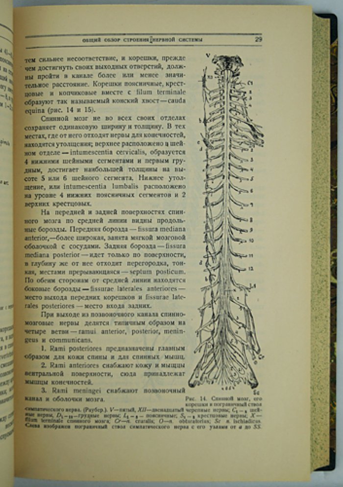 Курс нервных болезней (2-е изд., исправленное и дополненное)