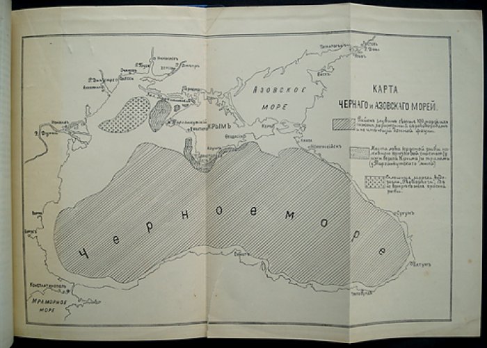 Труды III Всероссийского съезда рыбопромышленников (1910): стенографический отчет. Выпуск II — протоколы заседаний и доклады рыбопромышленной группы