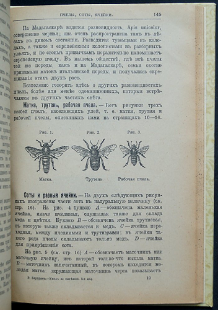 Уход за пасекою: календарь пчеловода (пересмотренное и дополненное издание)