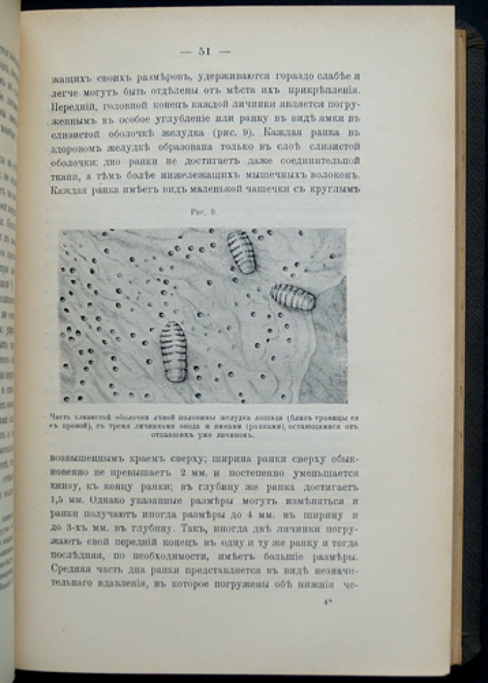 Труды бюро по энтомологии. Том VII: выпуски № 1–5 (комплект)