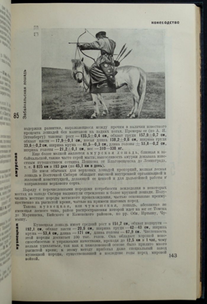 Книга о лошади. Том I: породы, назначение и организация конного дела для армии
