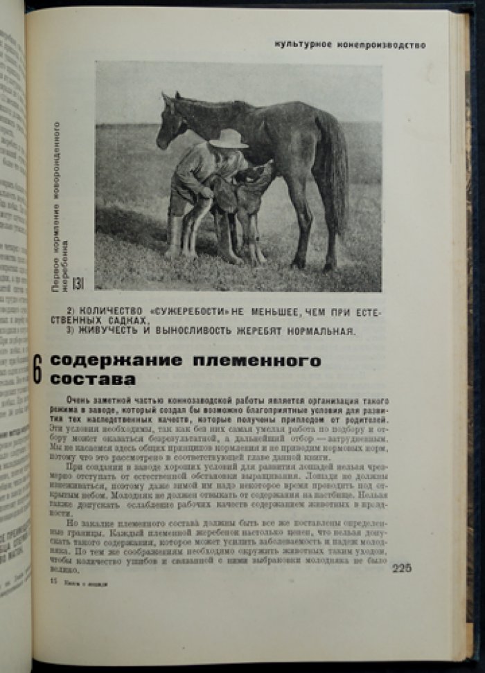 Книга о лошади. Том I: породы, назначение и организация конного дела для армии