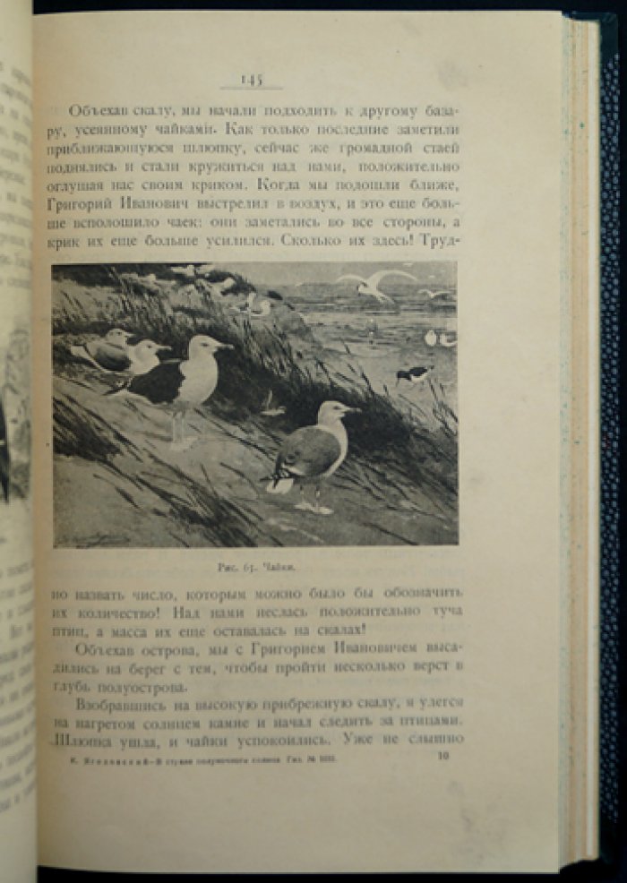 В стране полуночного солнца: воспоминания о мурманской экспедиции (по дневникам участника)