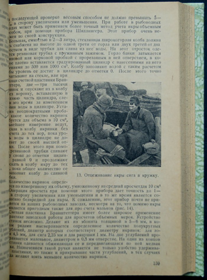 Справочник по рыбному хозяйству малых водоёмов: биология рыб, бонитировка, рыборазведение, болезни, техника и экономика