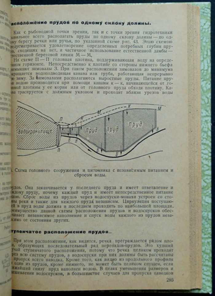 Справочник по рыбному хозяйству малых водоёмов: биология рыб, бонитировка, рыборазведение, болезни, техника и экономика