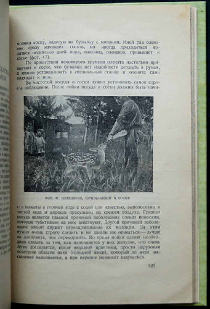 Менард Г.А. Пантовое хозяйство: разведение и содержание пятнистого оленя (практическое руководство)
