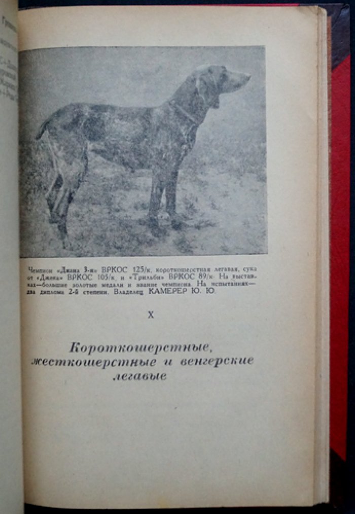 Всесоюзная родословная книга охотничьих собак: 2 тома (издание 1954–1956 гг.)