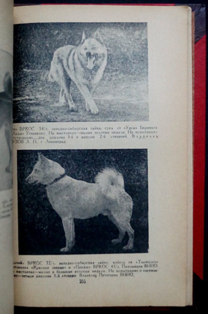 Всесоюзная родословная книга охотничьих собак: 2 тома (издание 1954–1956 гг.)