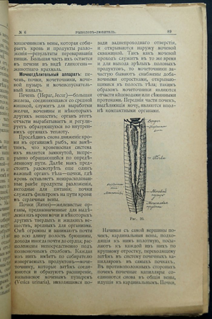 Рыболов-любитель. Ежемесячный иллюстрированный журнал рыболовства и рыбоводства: комплект 1907 года (8 номеров № 3, 4, 5, 6, 9–12)