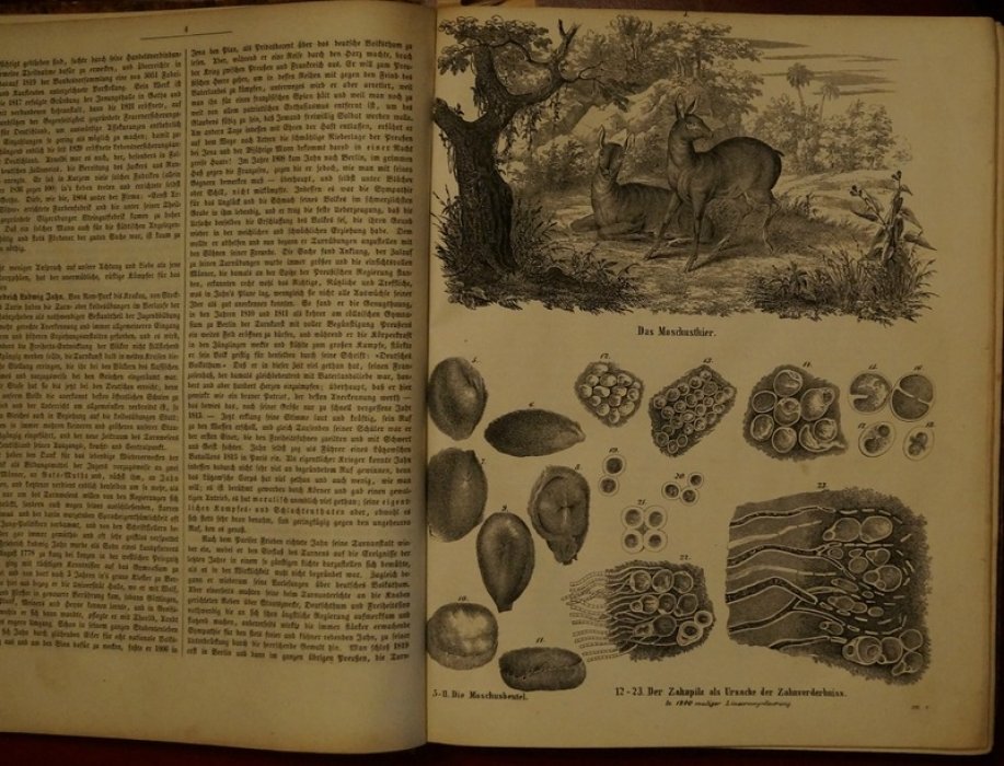 «Архив природы, искусства, науки и жизни» (Archiv fur Natur, Kunst, Wissenschaft und Leben): полный комплект журнала за 1848–1850 гг.