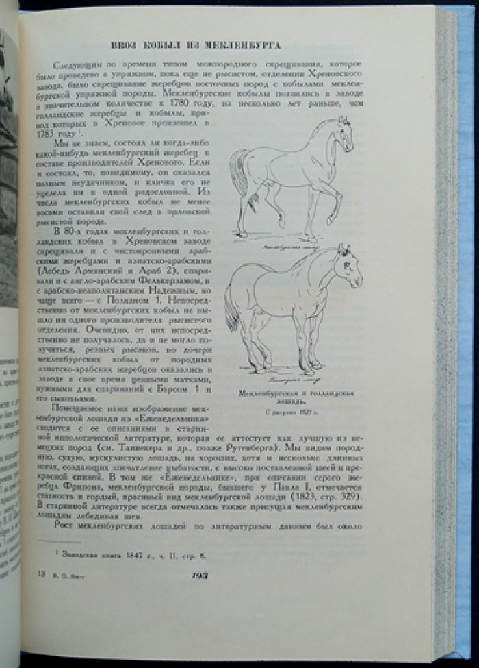 Витт В. О. Из истории русского коннозаводства: Хреновский завод и становление отечественных пород