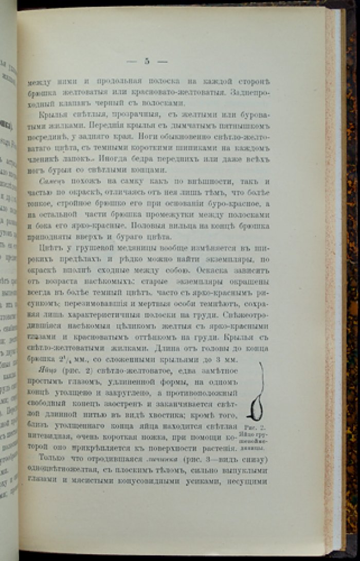 Труды Бюро по энтомологии. Том V (вып. 3–6): комплекc из 4 сельскохозяйственных монографий по вредителям садов и складов (виноград, яблони, груши, борьба с вредными животными). 1904–1906