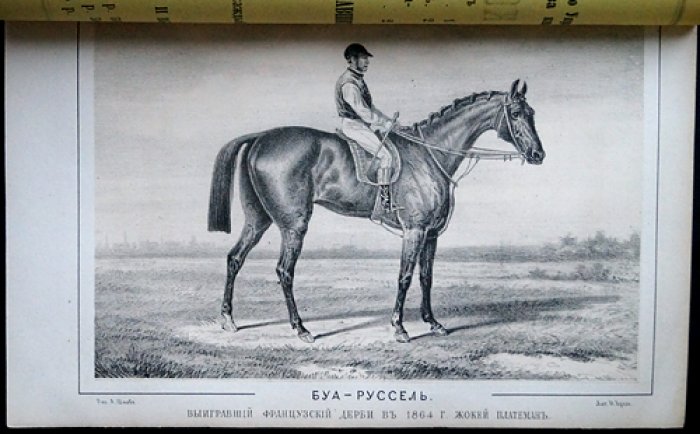 Журнал коннозаводства. 1865. № 5–8