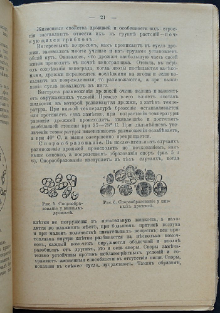 Безалкогольное виноделие (из винограда, плодов и ягод). Домашние и заводские способы